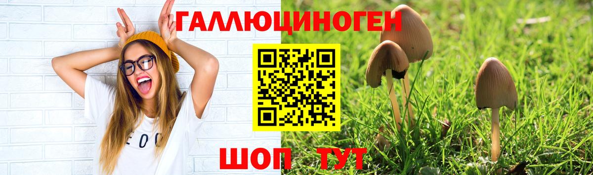 Псилоцибиновые грибы Psilocybine cubensis  Вход с VPN  Краснокаменск 